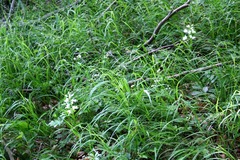 Killikus&reg; Fotographie